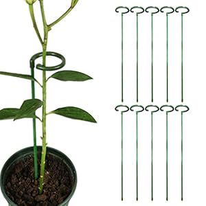 Nedyet 10 stuks steunpalen voor tuinplanten, tuinbloemen-steunringen kooien | tuin wijnstokken plantenkooi steunring…