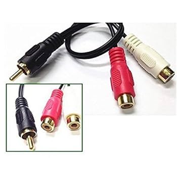 41CBK6jDYwL._UF350,350_QL80_.jpg