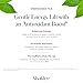 Shaklee Energizing Tea Green Matcha Flavor - Antioxidant-Rich Blend of Green Matcha, White, and Red Teas for Gentle Energy Lift - Energy Boost On-the-Go Packets - Hot or Cold - 28 Servings