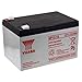 YUASA Batterie au plomb rechargeable NP12-12 Vds