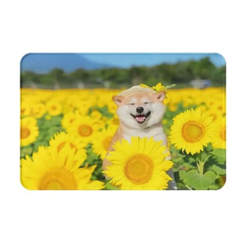 ���փ}�b�g �Č� �� ���� ���O ����~�� �􂦂� �k���� �t�����l�� �z������ �h�L �R�� ���� ������� 40×60cm �o�X�}�b�g �L�b�`���}�b�g