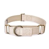 Country Brook Petz - Martingale Dog Collar - Heavy-Duty Training Collar with No Buckle - Service Dog Collar for All Pups - 5+ Vibrant Colors (Almond, 3/4 Inch, Small)
