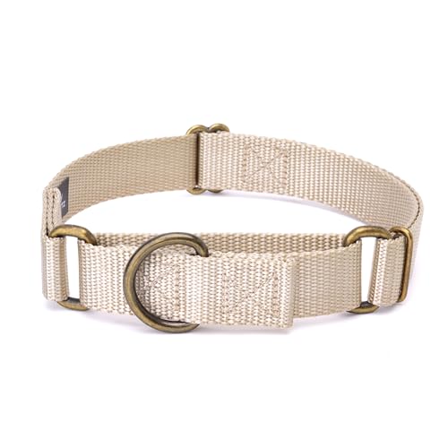 Country Brook Petz - Martingale Dog Collar - Heavy-Duty Training Collar with No Buckle - Service Dog Collar for All Pups - 5+ Vibrant Colors (Almond, 3/4 Inch, Small)