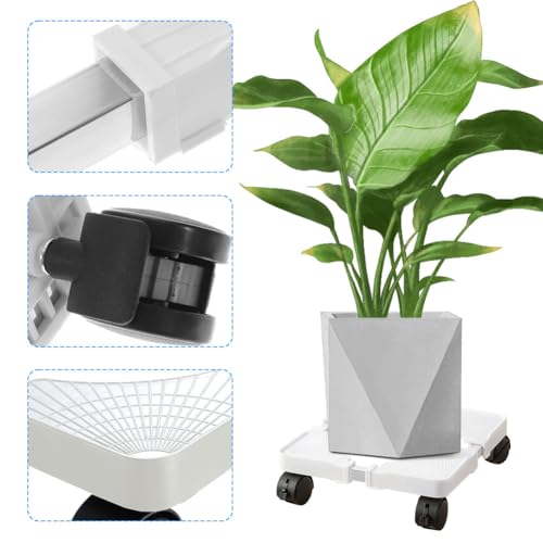 Support de plantes avec roulettes pour éviter les maux de dos