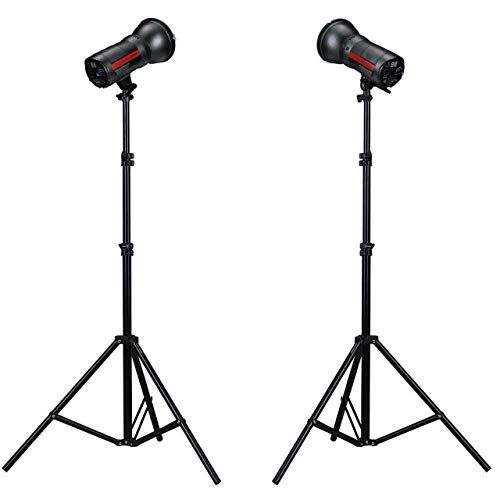 ProMaster LED500D MonoLED 2���C�g�L�b�g (2166)