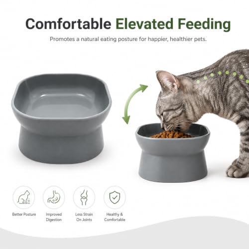 Image of Kipenzi Elevated Pet Bowl for Cats & Small Dogs | Food Grade Feeding Bowl | Raised Ergonomic Design | Stable & Easy to Clean | Modern Food & Water Bowl | Grey (Pack of 1)