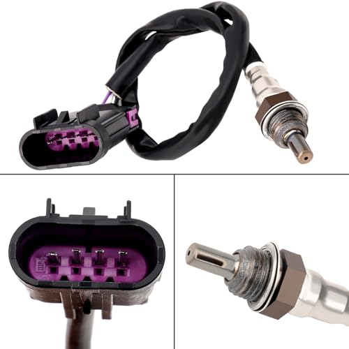 Sensor de oxígeno Road Passion compatible con Indian Roadmaster miniatura 2