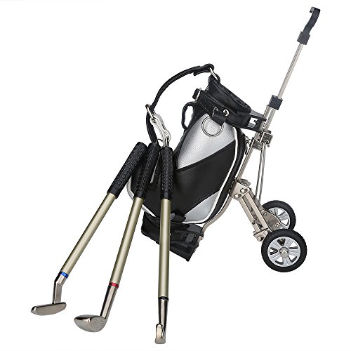 10L0L Golf Gift ,Mini Office Golf Pen Holder With 3 Sets Aluminum Alloy Golf Pens,Top Dad Gift Golf Souvenir For Golfer,Father,Men,Boyfriend,Husband (Silvery And Black W/O Base) #TOP3