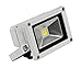American Lighting FL-101-30-DB Panorama PRO 101 Series Design LED Flood Light with Yoke Mounting Bracket, 13W, 3000K, 750-Lumens, Dark Bronze