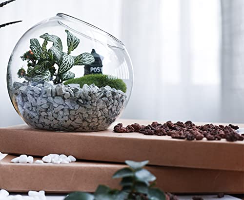 Green Zeolite Rocks, 1.1 Lb Bonsai Succulent And Cactus Plants Decorative Stones, Drainage Gravel, Small Planter Horticultural Grit For Fairy Gardening, Top Dressing, Vase Fillers, Terrarium #TOP6