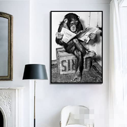 Affiche murale singe journal pour masquer un mur vide avec humour 40x60 - 2