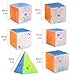D-FantiX QY Toys Jelly Cube Set, 6 Pack Speed Cube Set 2x2 3x3 4x4 Pyramid Skewb Ivy Cube- QY Toys Qidi S Warrior W Qiyuan Qiming Puzzle Cubes Bundle for Kids Adults