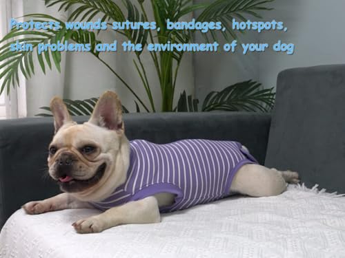 Image of Dog Surgery Recovery Suit - After Spay, Abdominal Wounds Post Surgical Recovery, Anti Licking Breathable Dog Onesies for Small, Medium & Large Pet, Alternative Bandages Cone E-Collar