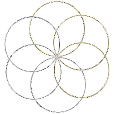 BronaGrand 6Pcs Diameter 6inch Metal Ring Hoops Macrame Rings for Dream Catchers and Crafts, Silver & Gold Cover