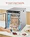 VEVOR Rotary Food Dehydrator Machine, 12 Stainless Steel Trays, 800W Electric Food Dryer with Adjustable Temperature & 24-Hour Timer, Dehydrator for Jerky, Meat, Fruit, Vegetables, Herbs, Dog Treats