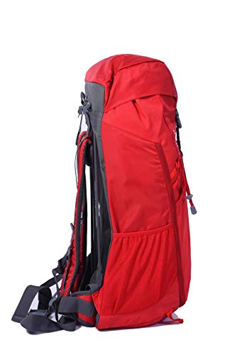 Image of Safari 50 Ltrs Red Casual /Travel Large Rucksack (ZORB50L24RBRED)