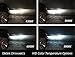 Diode Dynamics Replacement D3S HID Bulbs (pair), 5000K