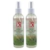 Fantasia Ic Hair Polisher Mist 6 Ounce Pump (177ml) (2 Pack)