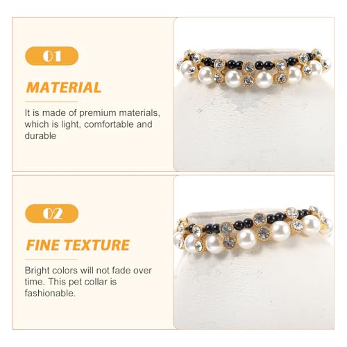 MOTHNUR ybgp^lbNX уfUC yʂŉK  Lp ȑ gANZT[