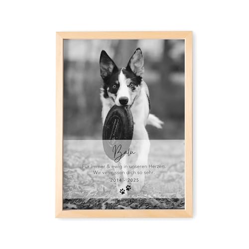 DEL MÀ Unique & Personal Andenken an verstorbenen Hund Bild im Stil einer Gedenktafel zur Erinnerung & Trauer personalisiert mit Foto Geschenk für Hundebesitzer mit Bilderrahmen Din A4 (Hochformat)