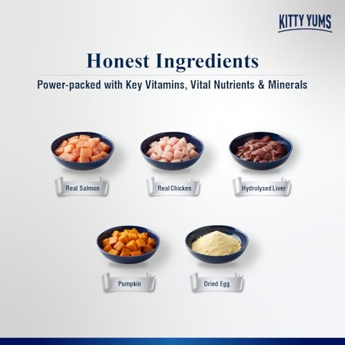 Image of Kitty Yums Adult Cat Wet Mousse 80g | Salmon | Rich in Protein | Promotes Hydration & Easy to Digest | Grain Free | No Artificial Flavours | Packed with Essential Vitamins & Antioxidants