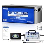 DC HOUSE Metal Case 48V 100Ah Pro Lithium Golf Cart Battery, 200A BMS Lifepo4 Battery with 48V 18A Charger, Bluetooth Mobile APP & LCD Monitor, Peak Current 700A
