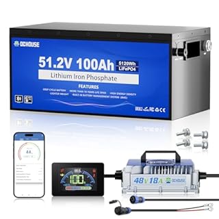 DC HOUSE Metal Case 48V 100Ah Pro Lithium Golf Cart Battery, 200A BMS Lifepo4 Battery with 48V 18A Charger, Bluetooth Mobile APP & LCD Monitor, Peak Current 700A