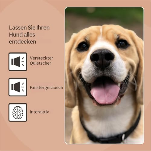 Rosewood Leo Lion Hundespielzeug – Weiches Plüschspielzeug mit Riesen-Quietscher & Knisterkörper – Interaktives Kuscheltier für Spiel, Spaß & Geborgenheit – Gelb