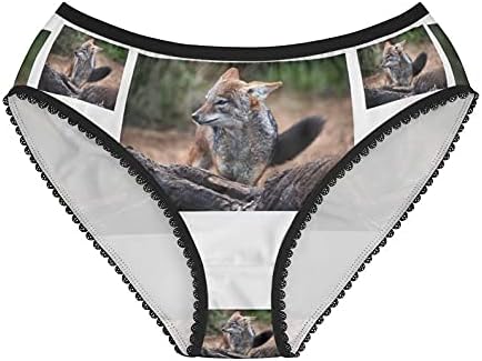 Black Backed Jackal Panties, Black Backed Jackal Underwear, Briefs, Cotton Briefs, Funny Underwear, Panties For Women