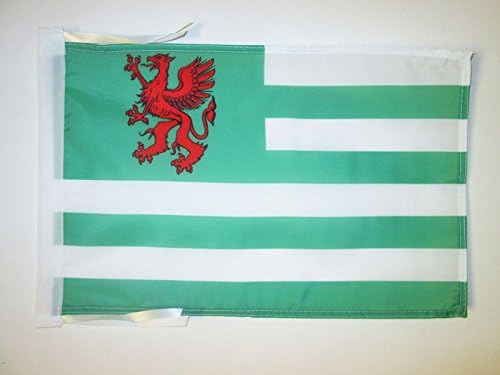 AZ FLAG, Wiltshire Old county Flag, 18'' x 12'', 100% Polyester County of Wilts., England Small Banner with Two Cords