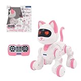 Power KITTY Jr: Your STEM Learning Cat