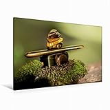 tigerauge armband silber 100% Made in Germany, dadurch sind hochqualitative Fertigung mit Verwendung unbedenklicher umweltfreundliche Rohstoffe garantiert. Öko-Tex geprüft und zertifiziert