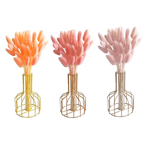 Queue de lapin séchée naturelle fleur rose pour décoration de table bohème