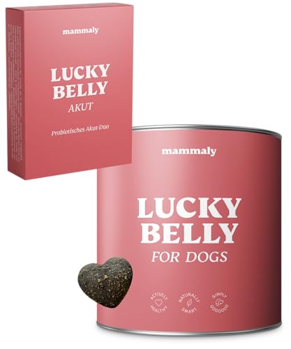 mammaly Lucky Belly Durchfall Akut-Set - Magen-Darm-Set für Hunde mit Lucky Belly Akut & Lucky Belly Snacks, zur Unterstützung bei akutem Durchfall & für die Nachsorge, mit Prä- & Probiotika