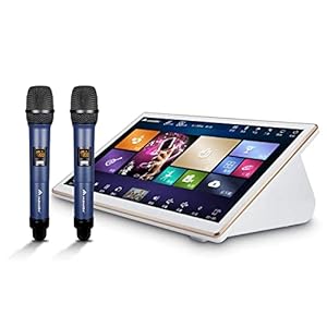 Inandon 4T KTV System Karaoke