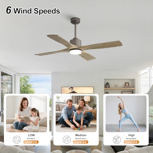 Image of LEDLUX 48 inch Ceiling Fans with Lights -Modern Ceiling Fan with Light, 6-Speed Remote, 4 Solid Wood Blades, Quiet DC Motor, for Bedroom, Living Room, Outdoor, Graphite Finish with Gray Blades