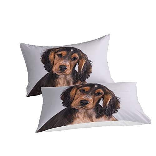 Housse de Couette Cocker Spaniel Anti-Plis Parure de Lit Double 3D - 3