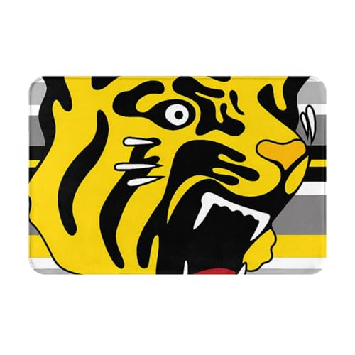 _^CK[X GDJ[ybg ᔽ􂦂TCYO 40x60cm