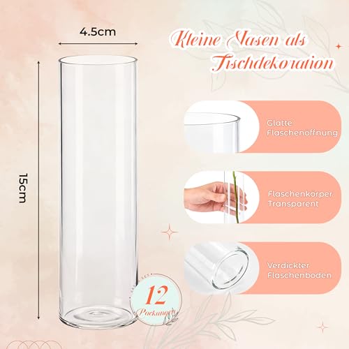 BTSD-home 12 Stück Zylinder Glasvase Set als Kleine Vasen für Tischdeko Vasen Klein Tischdeko Für Hochzeitsdeko Wohnzimmer Deko Party Deko Festtagsgeschenke