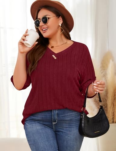 LURANEE Women Plus Size Sweaters 3/4 Rolled Sleeve Shirts V Neck Casual Lightweight Tunic Blouses XL-5XL3
