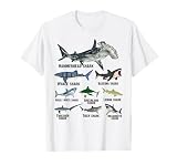 Types of Sharks 2026 Ocean Wildlife Week Educational Shark T-Shirt