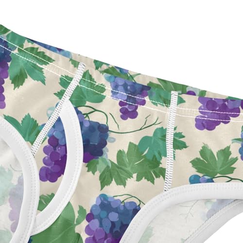 Wusikd Grapes Leaves Boys' Underwear Cotton Boys Briefs Soft Toddler Underwear 2T4