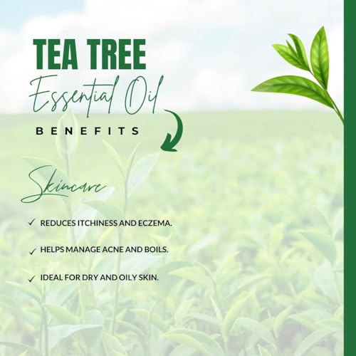 Image of CAMIA - 100% Organic Cold Pressed Olive Oil, 250 ML + Tea Tree Essential Oil, 15 ML + Tea Tree Soap, 125 Gm | Gentle Acne Stop Treatment Skincare Combo Set | Your Road to Noticeably Clear Skin