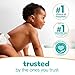 Pampers Baby Wipes, Sensitive, Water Based Wipe, Clinically Proven, Hypoallergenic, and Unscented for Babies, 336 Wipes Total (4 Flip-Top Packs)