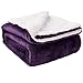 NANPIPER Sherpa Blanket Warm Blankets for Winter Super Soft Fuzzy Flannel Fleece/Wool Like Reversible Velvet Plush Couch Blanket (Purple Throw Size 50"x60")