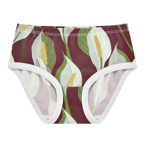 Personalized Toddler Underwear Custom 2t Cotton Cute Panties Girl Green Lily Underpants Briefs