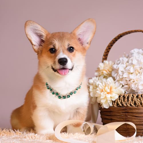 Image of HOWWFALY Dog Collar and Cat Collar Gold Chain Necklace Stainless Steel Adjustable Green Rhinestones Collar with Cute Pet Paw for Small Medium Pets Cats Dogs Kitten Puppy (Green, L)
