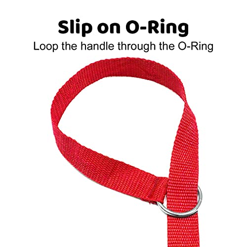 Bulk Pack of Slip Lead Dog Leashes