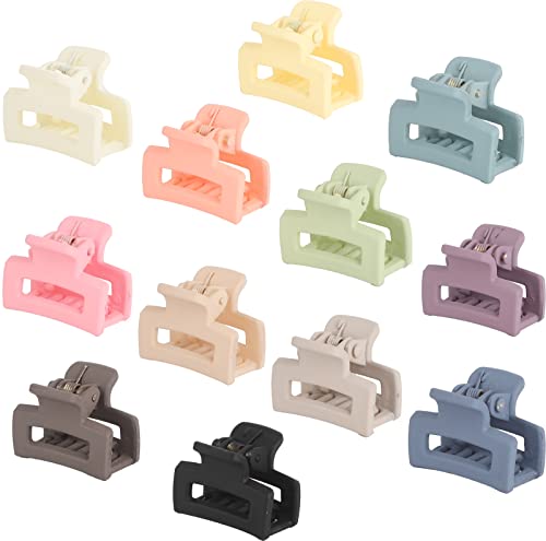 Small Hair Claw Clips For Women Girls,12 Pcs Mini Tiny Hair Claw Clips For Thin/Thick/Medium/Fine Hair,0.9 Inch Little Cute Hair Jaw Clips Clamps Matte Rectangle Nonslip With Gift Box (Morandi Colors) #TOP3