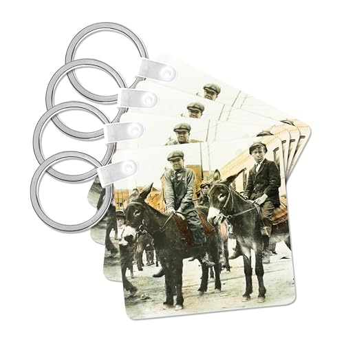 3dRose, Vintage Early 1900s Boys on Pack Mules Headed for Grand Canyon, set of 4 Key Chains